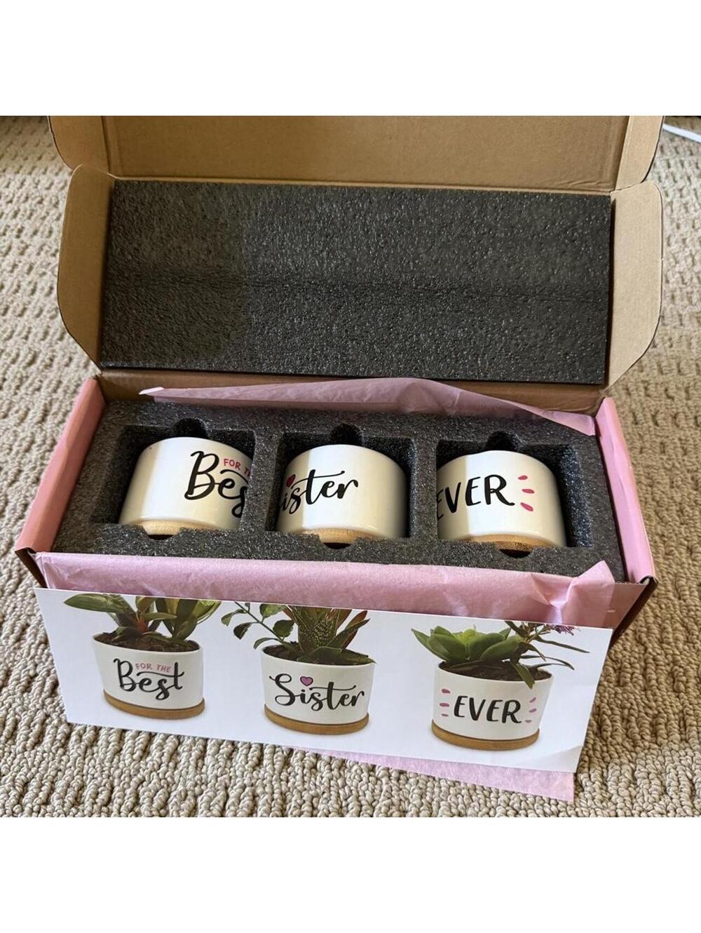 GiftAGirl Set of 3 Ceramic Succulent Pots Bamboo Trays Best Sister Ever Gift Box